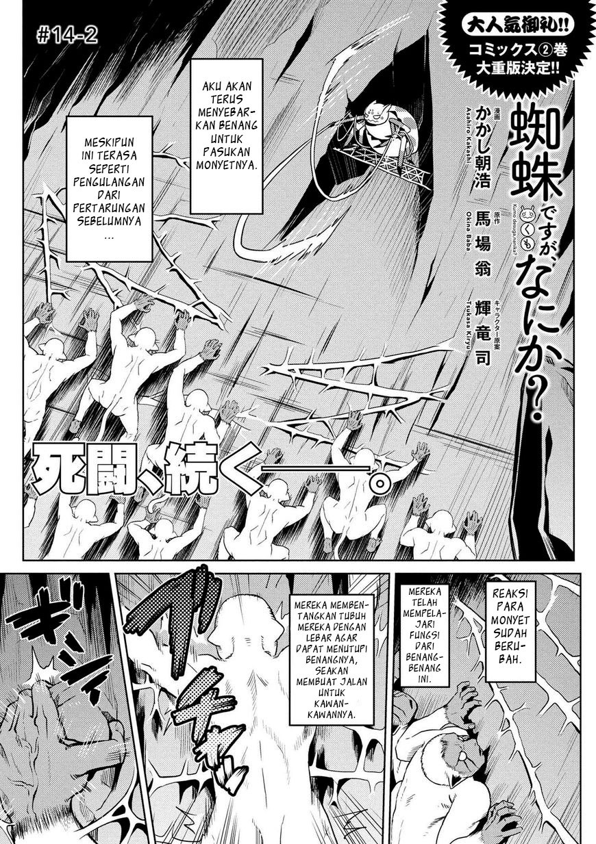 Kumo desu ga, Nani Ka?